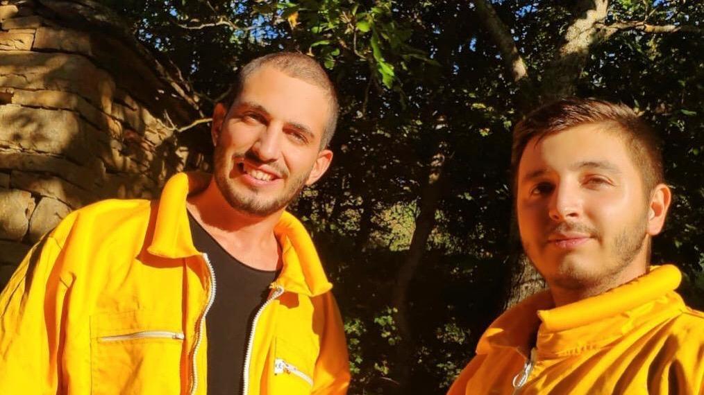 Modena. Nasce una pagina Instagram per salvare le api e il pianeta