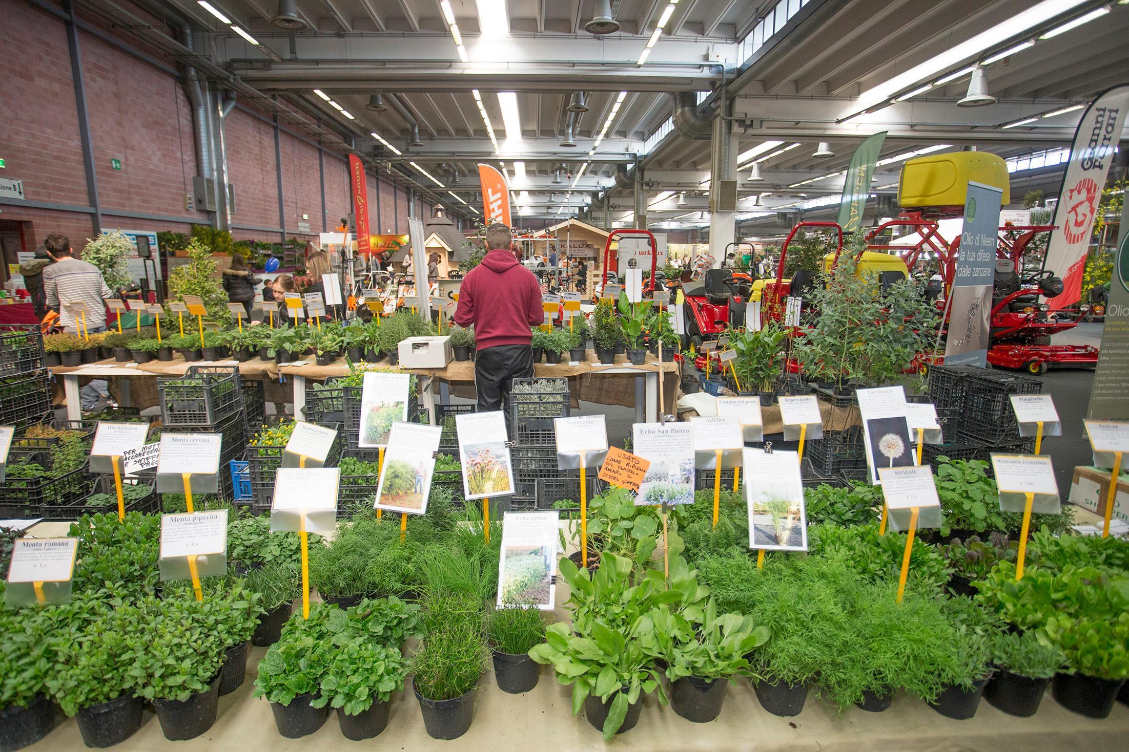 Coronavirus. Le fiere. “Verdi Passioni” annullato In definizione Unimore Orienta 