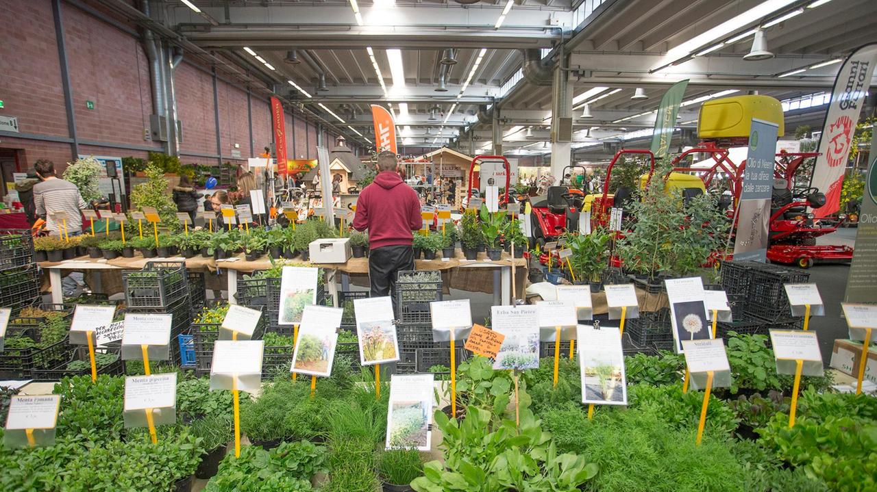 Coronavirus. Le fiere. “Verdi Passioni” annullato In definizione Unimore Orienta