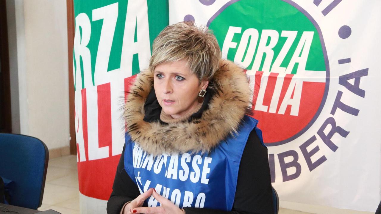 La deputata Erica Mazzetti
