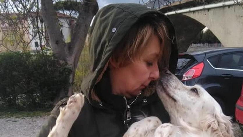 Due cani spariscono e li ritrovano dopo due giorni