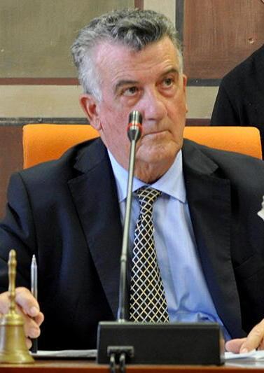 Vigilanza privata, discussione in consiglio