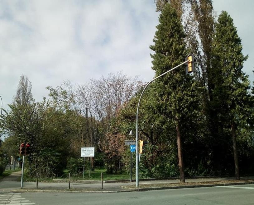 Bosco ex Cappuccina Arrivati 17 progetti per riqualificare l’area