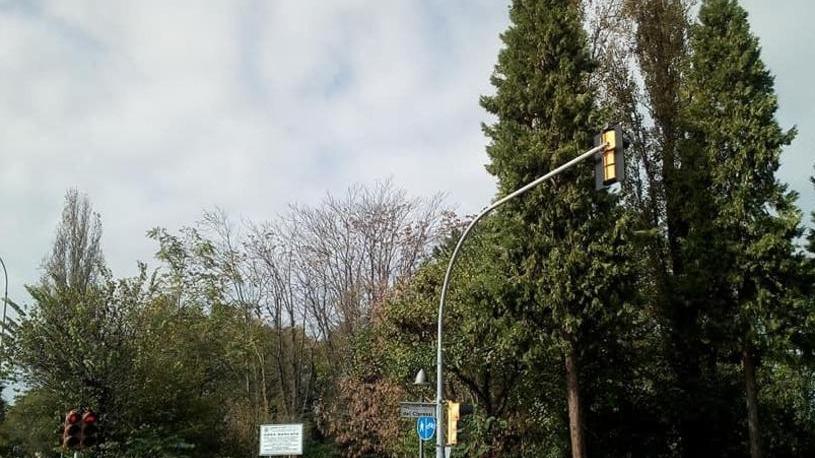 Bosco ex Cappuccina Arrivati 17 progetti per riqualificare l’area