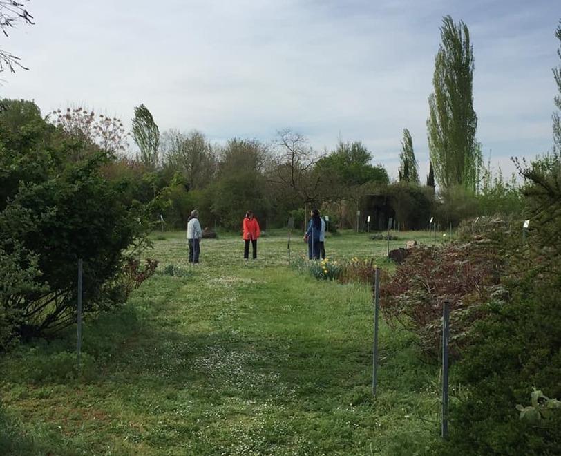 Nel paradiso botanico della Bassa si studia l’intelletto delle piante 