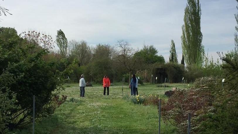 Nel paradiso botanico della Bassa si studia l’intelletto delle piante