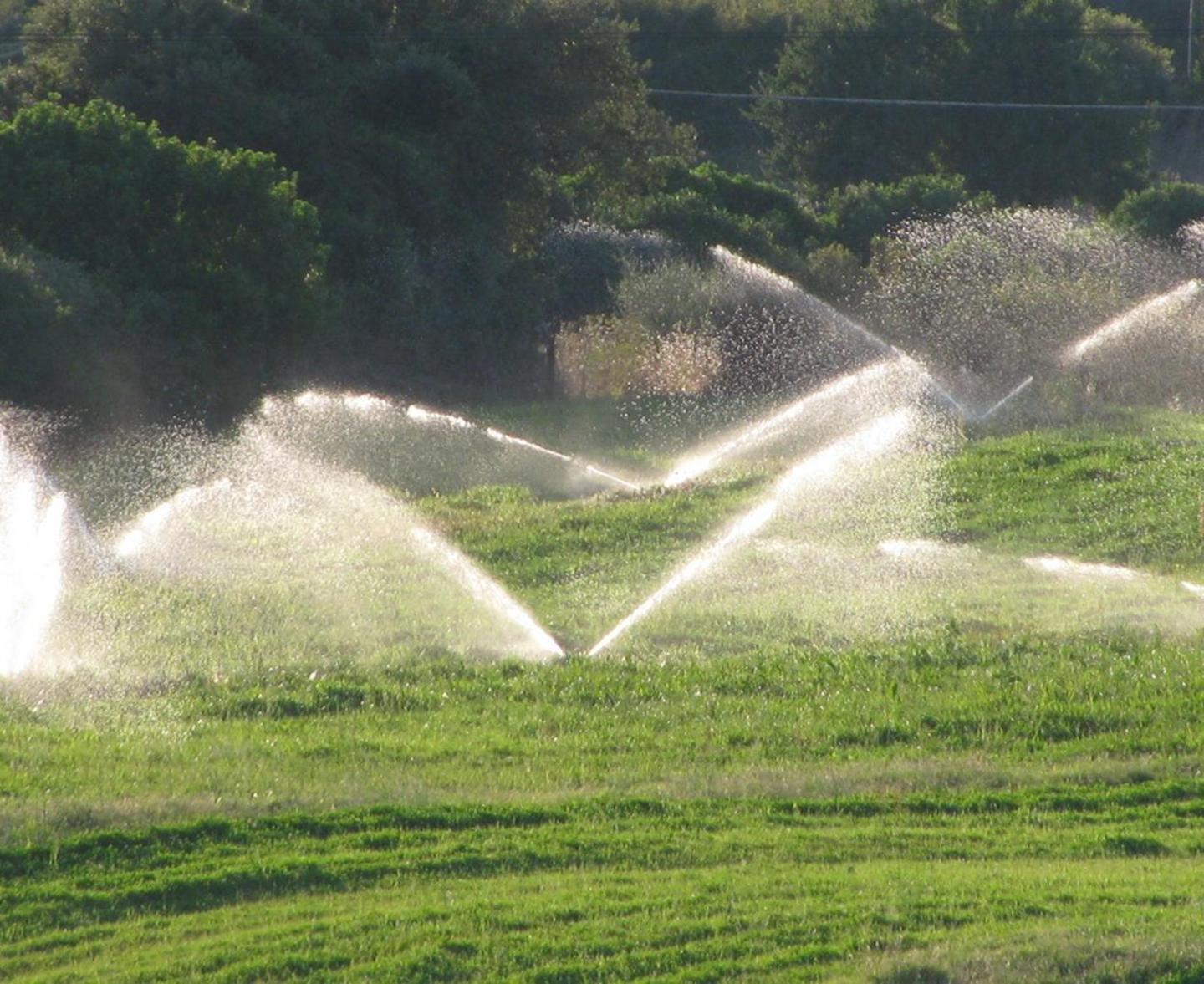 Acqua alle campagne solo se non si è morosi 