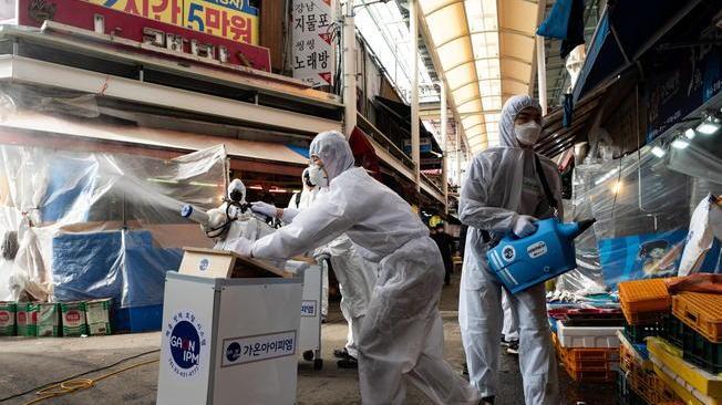 Coronavirus: Corea Sud, 115 nuovi casi
