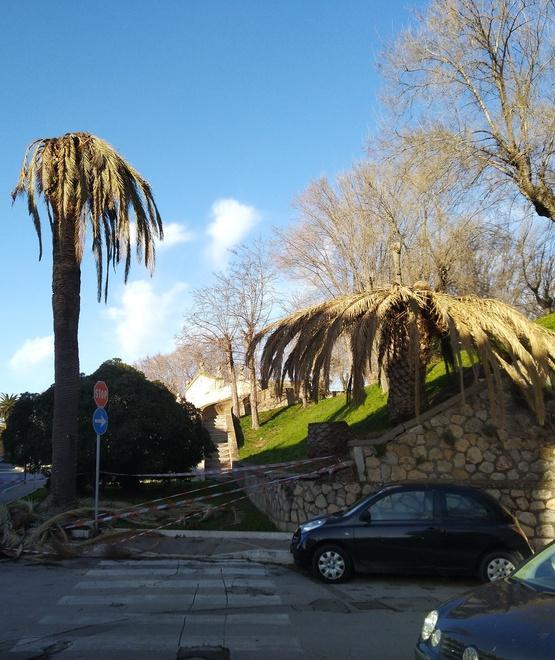 Sos Mura e palme Velasco va all’attacco 