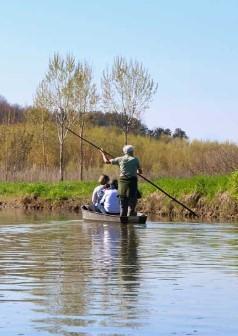 Domenica i volontari ripuliscono il Padule