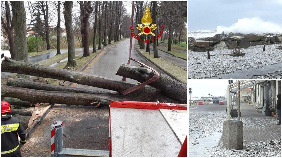 Crolla albero, si salva per un soffio. A Marina di Pisa sassi come "proiettili" in strada - Video
