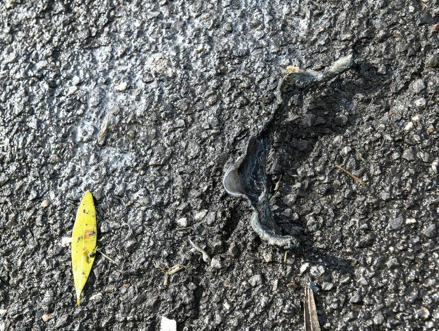 Bomba esplode nella notte ai campi sportivi: è giallo 