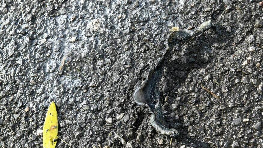 Bomba esplode nella notte ai campi sportivi: è giallo