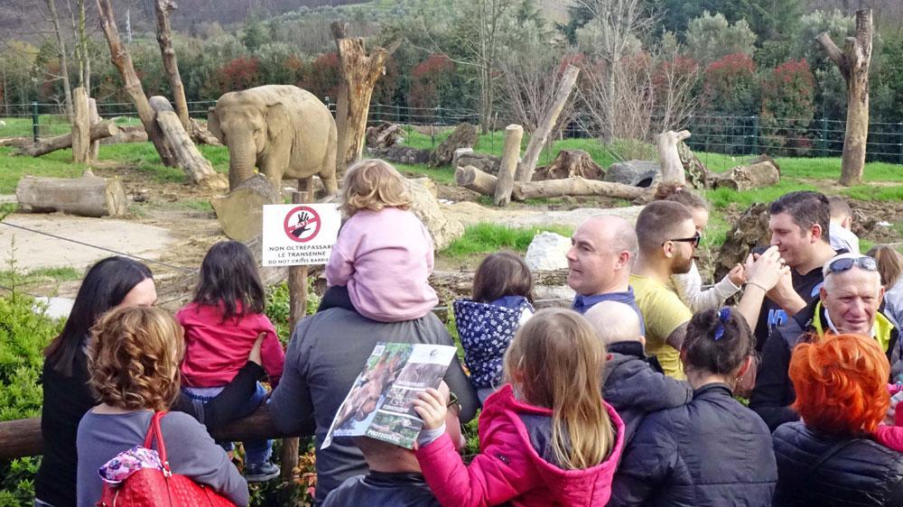 Zoo di Pistoia, previsto il raddoppio per un investimento di 10 milioni di euro