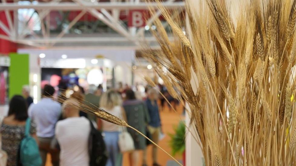 Sana a tutto bio In preparazione l’edizione 2020