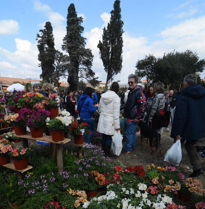 Primavera in giardino spegne venti candeline