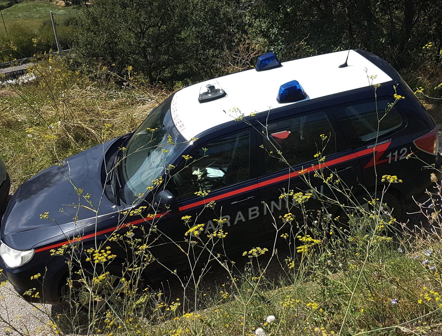Allevatore scampa a un agguato 