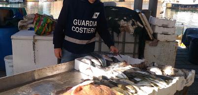 La guardia costiera in azione