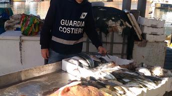 La guardia costiera in azione