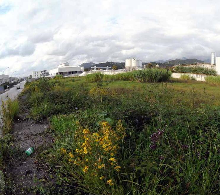 Una panoramica dell'area ex Farmoplant
