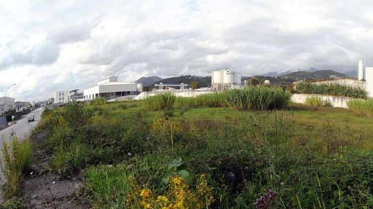 Una panoramica dell'area ex Farmoplant
