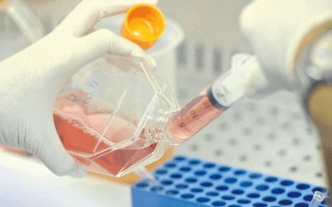 Il Dna torna in Sardegna, la ricerca può ripartire 