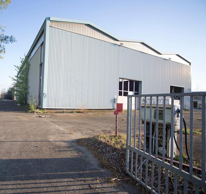 E la De Tomaso attende Globo Bep’s l’ultimo marchio arrivato 