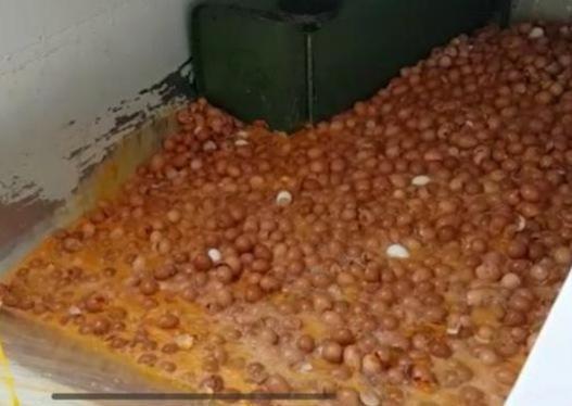 Uova con scadenze false: chiuso a Sassari un centro di imballaggio abusivo