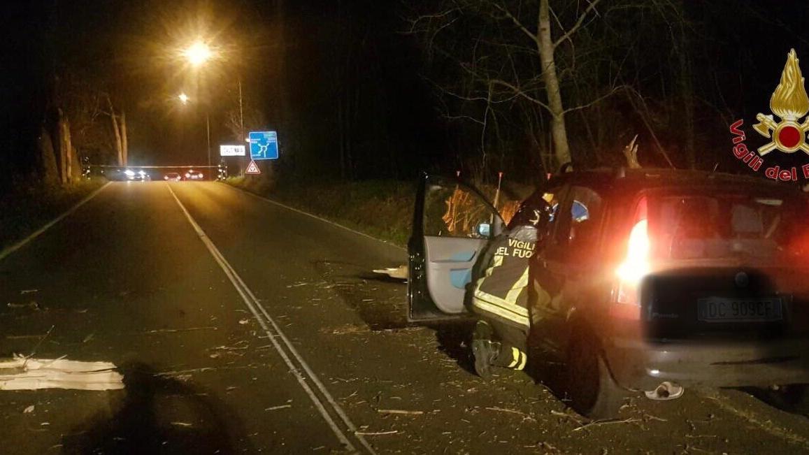 Calcinaia, pianta si abbatte su un'auto: conducente in ospedale