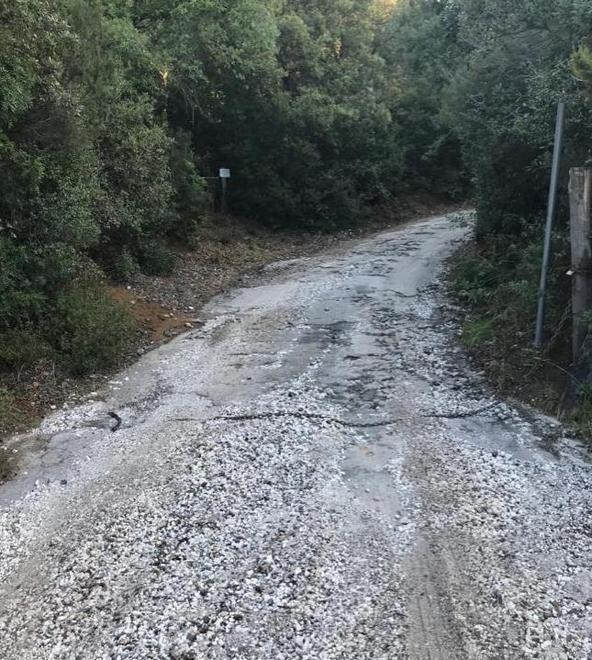 Il conte Gaddo riapre la strada ma fa di nuovo ricorso al Tar 
