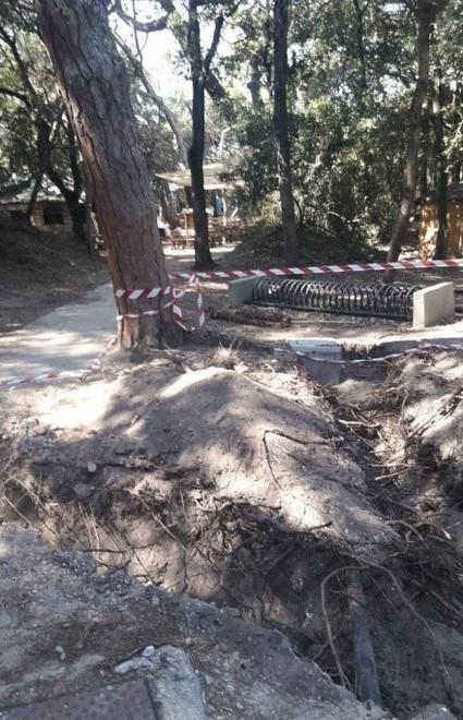 «Un parco non è un giardino Perplessi per Rimigliano» 