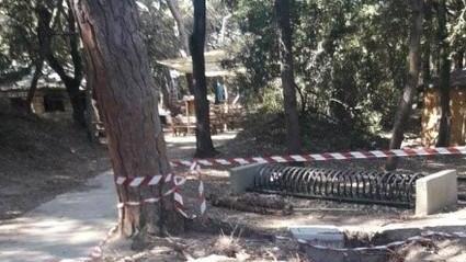 «Un parco non è un giardino Perplessi per Rimigliano»