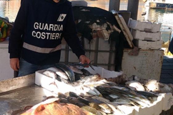 Spaccia uno smeriglio per pesce spada fresco ristoratore denunciato 
