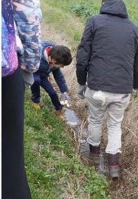 Grandi e piccini al lavoro per ripulire l’ambiente