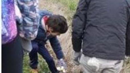 Grandi e piccini al lavoro per ripulire l’ambiente