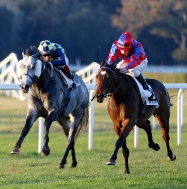 Il premio Enrico Camici all’ippodromo di S. Rossore 