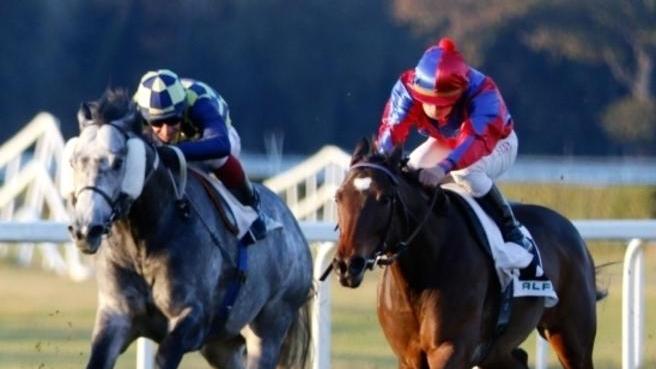 Il premio Enrico Camici all’ippodromo di S. Rossore