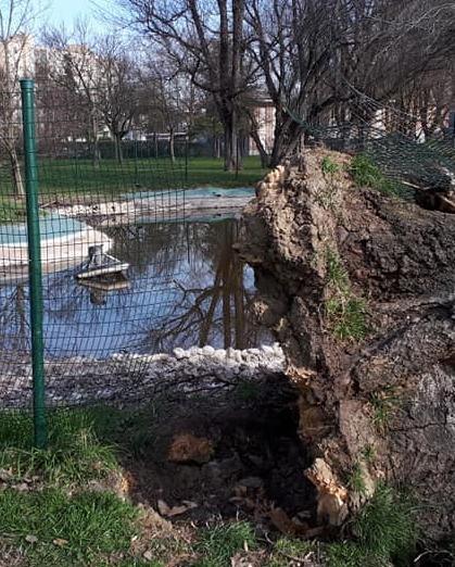Le tartarughe del parco spostate a Mirandola