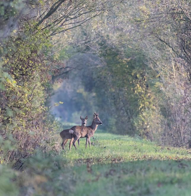 Aperte le iscrizioni ad Obiettivo Natura III