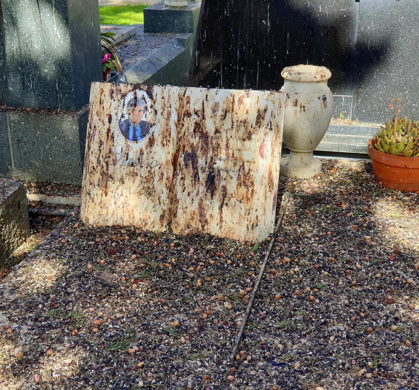 Sassari, le tombe devastate dagli storni 