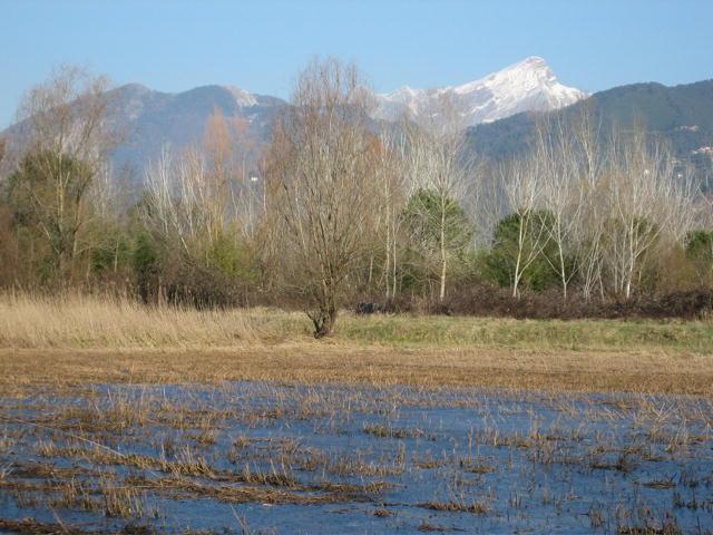 Uno scorcio del lago di Porta
