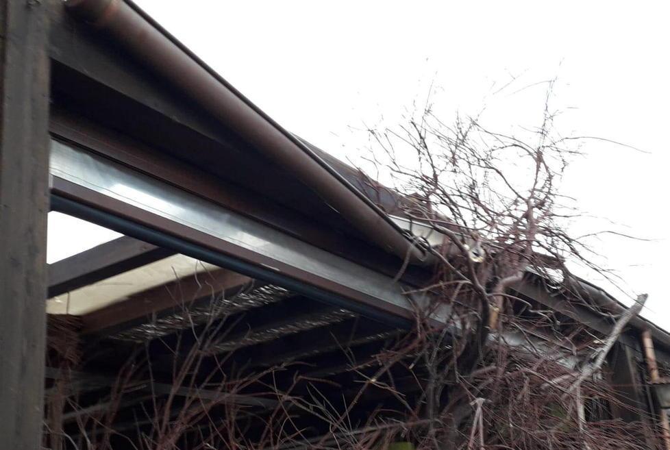 Un ramo di tamerice spezzato dal vento travolge il Gattarossa 