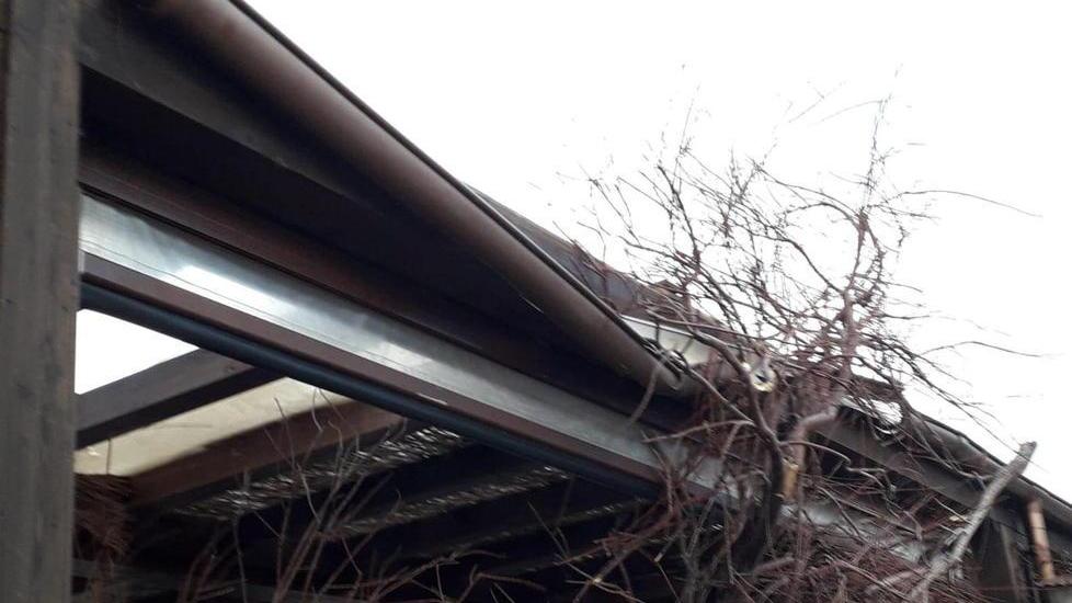 Un ramo di tamerice spezzato dal vento travolge il Gattarossa