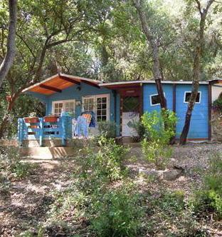 Casette nel bosco, in due sotto processo per gli abusi 