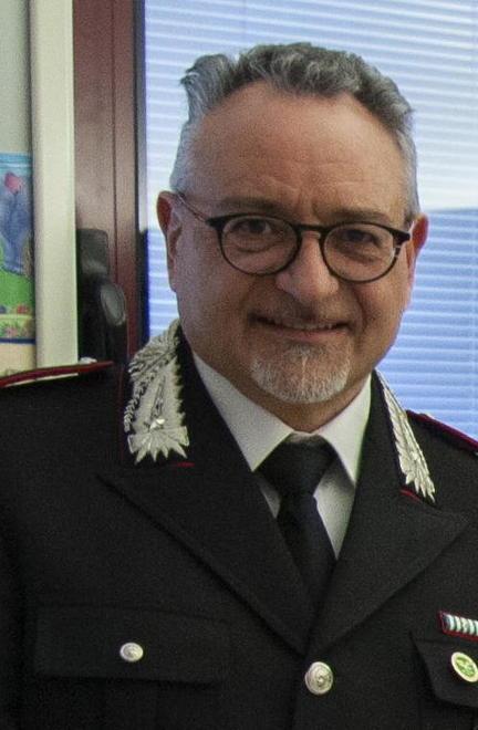 «Pineta devastata da insetti e vento Ma viene curata in modo accurato» 