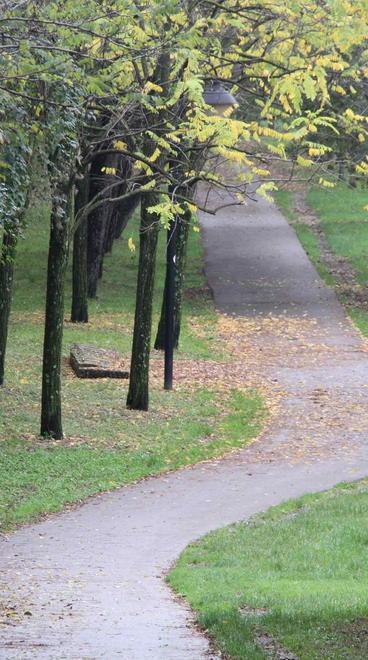 Due ragazzini rapinati sulla pista ciclabile 