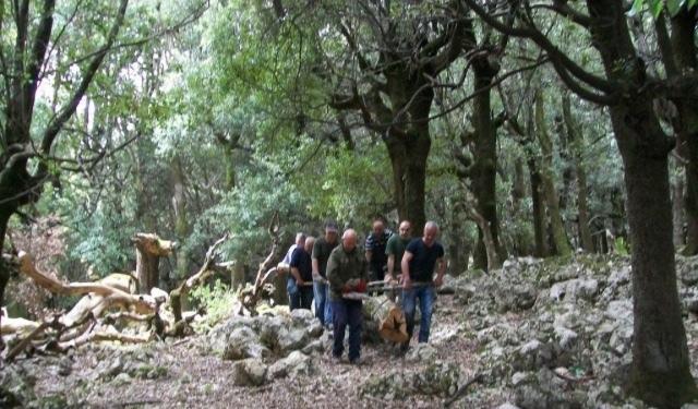 Beffa per i 200 forestali di quattro comuni nel Goceano: niente lavoro né indennità 