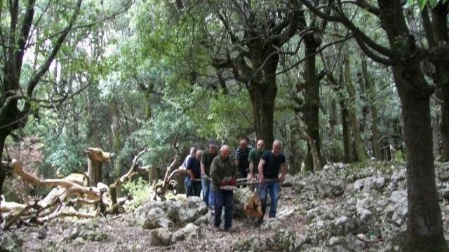 Beffa per i 200 forestali di quattro comuni nel Goceano: niente lavoro né indennità 