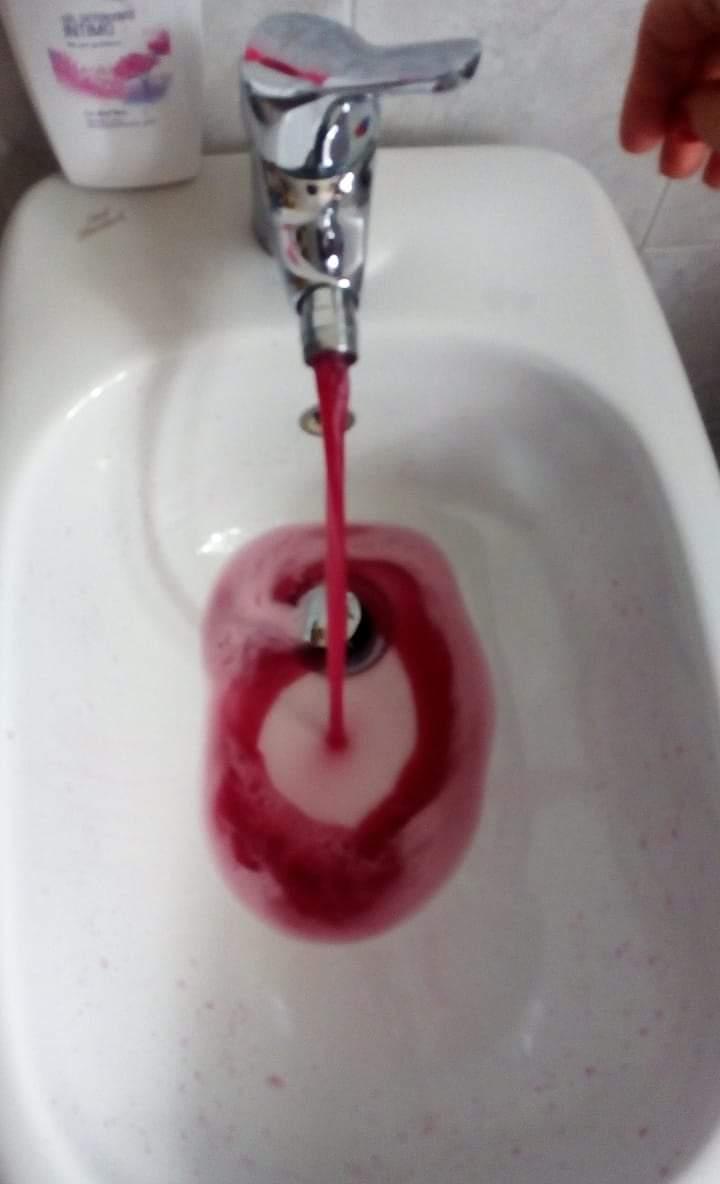 Castelvetro. Settecani, dal rubinetto di casa esce lambrusco Grasparossa