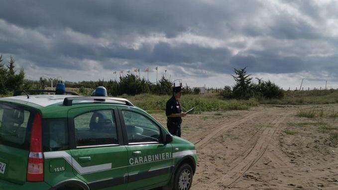 Pescano le anguille cee: 3.000 euro di multa